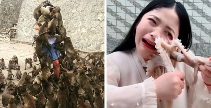 20 попыток блеснуть, которые обернулись громким фиаско