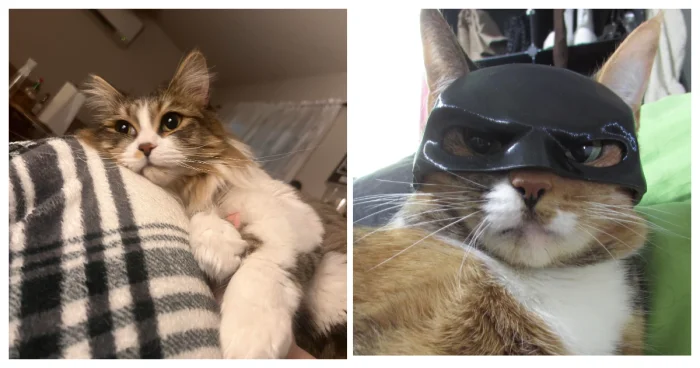 Чему нас могут научить вязальщицы: 20 навыков от шерстяных гуру