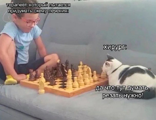 Картинки веселые и прекрасные