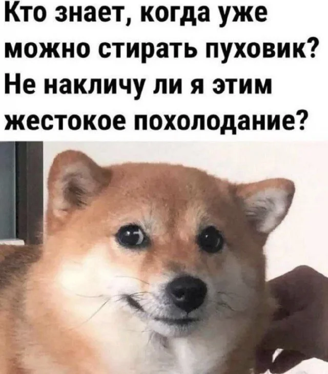 Забавные иллюстрации