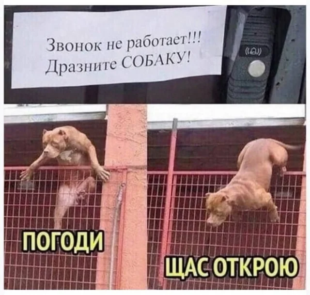 Аморально и не очень