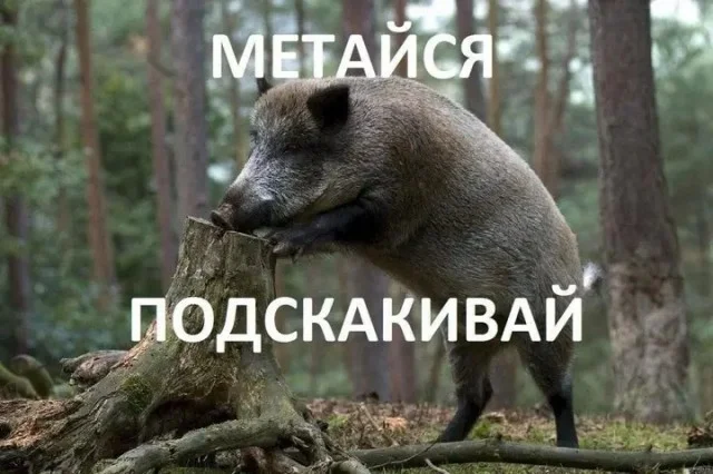 Классный юмор