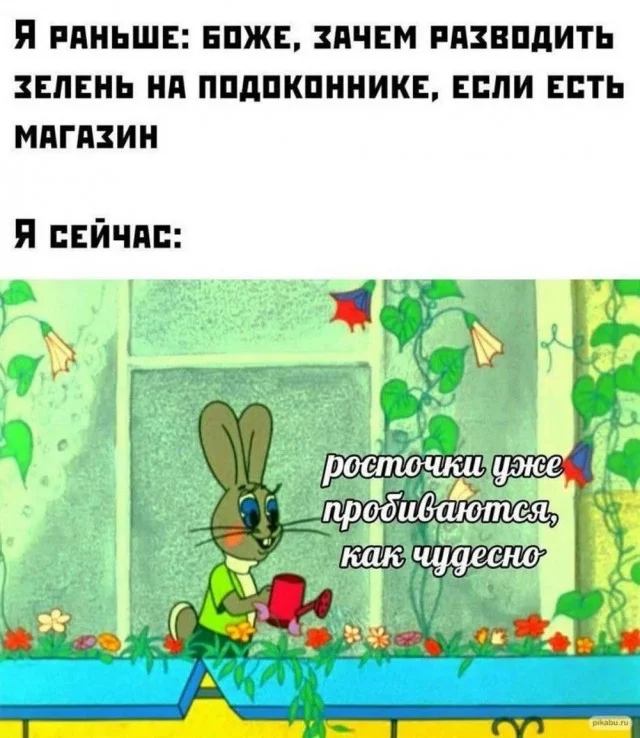 Кайф, а не прикольные картинки