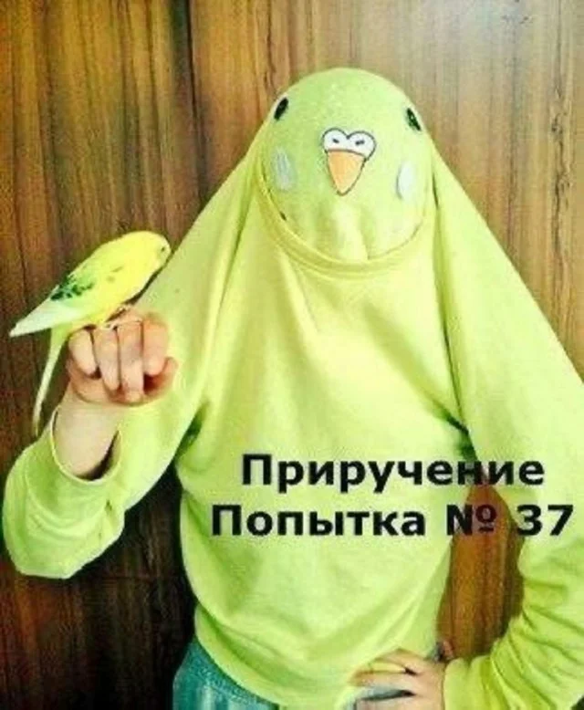 Смешные прикольчики