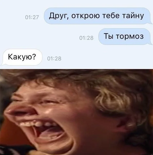 Коллекция баянов