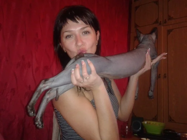 Коллекция баянов