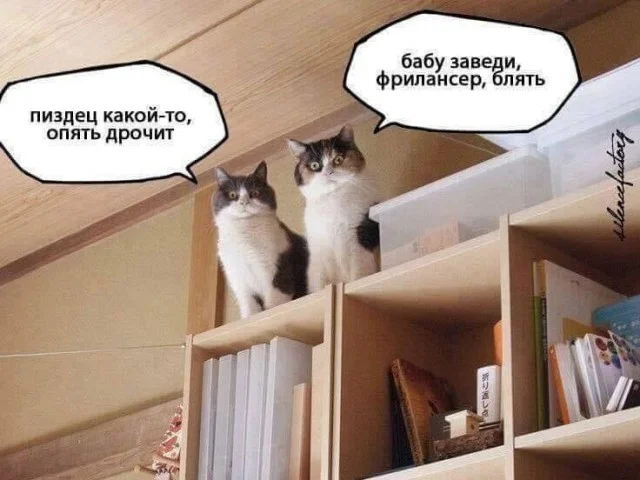 Кото-баяны