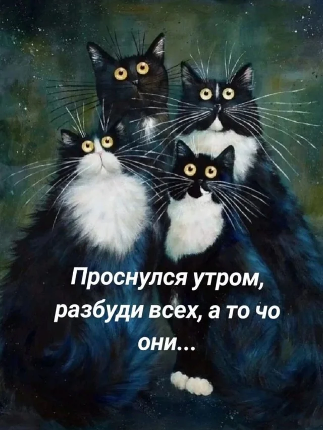 Кото-баяны