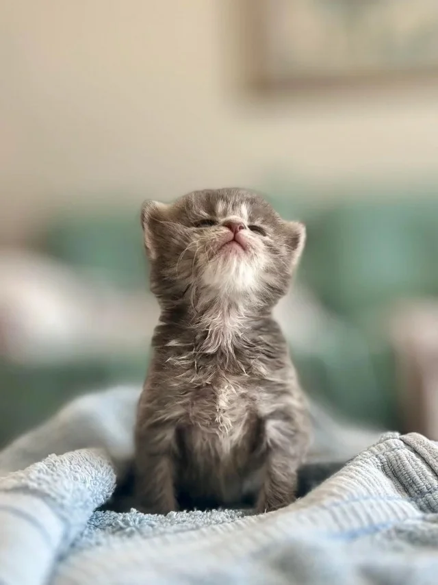 ФотоВинегрет