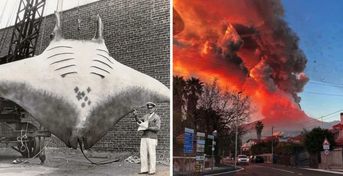 История в кадре: 25 архивных фото с яркими моментами прошлого