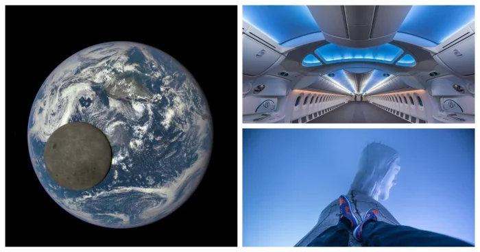 Привычный мир с неожиданной стороны: 30 уникальных снимков