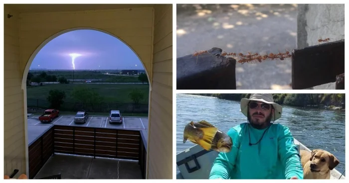 30 невероятных событий, которые кажутся фантастикой