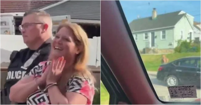 В США женщина использовала «биологическое оружие» прямо во время ссоры на дороге