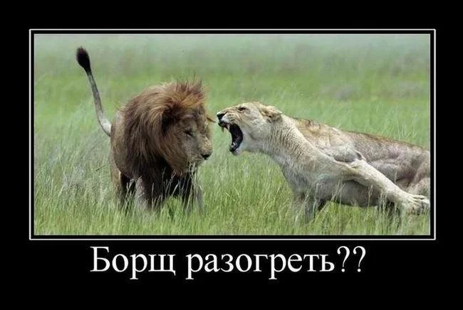 Демотиваторы