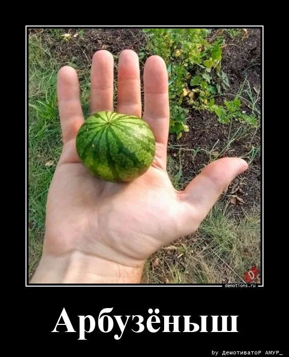 Демотиваторы на любой вкус