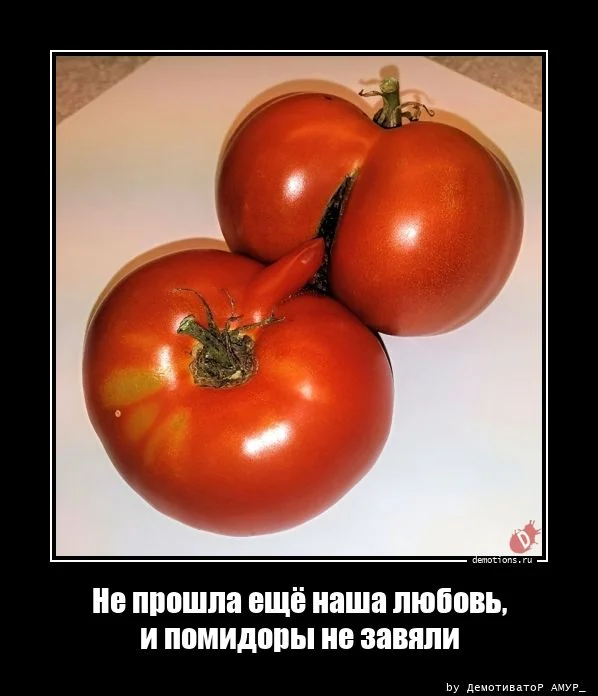 Демотиваторы-приколы