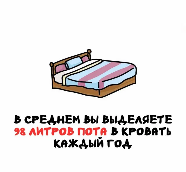 Универсальные факты, которые пригодятся каждому