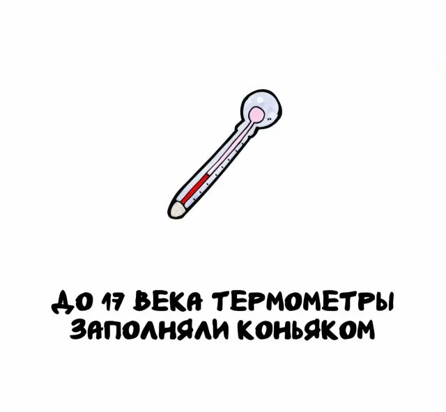 Универсальные факты, которые пригодятся каждому