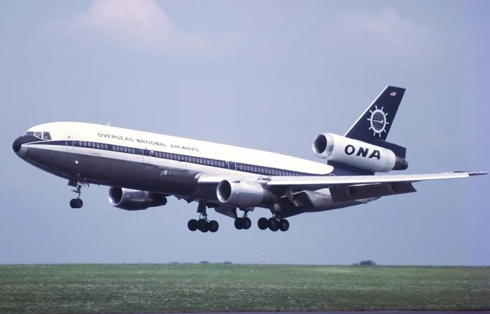 Стая чаек против гиганта: трагедия с участием Douglas DC-10