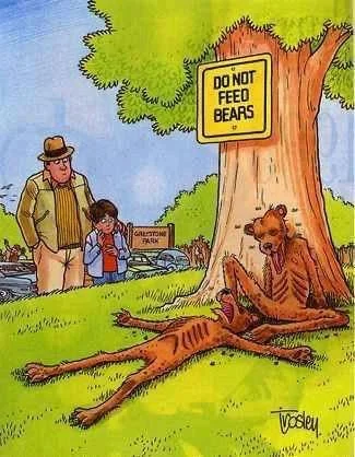 Картинки, которые заставляют задуматься