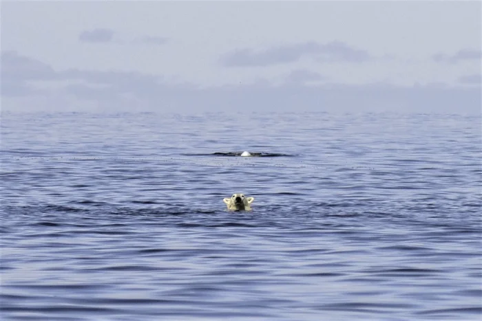 Подборка картинок на общую тему