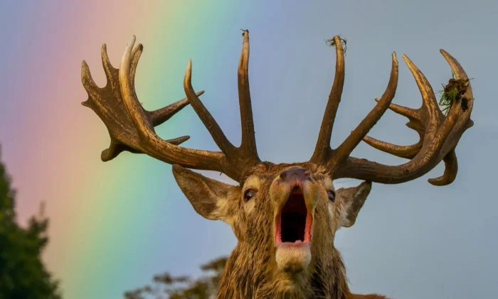 Новая подборка на общую тему