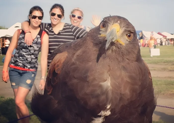 Свежее на общую тему