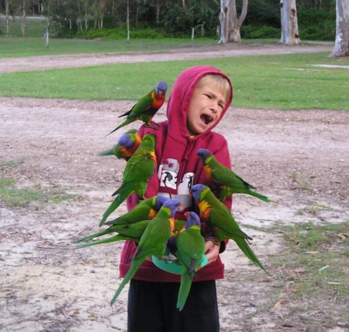 Свежее на общую тему