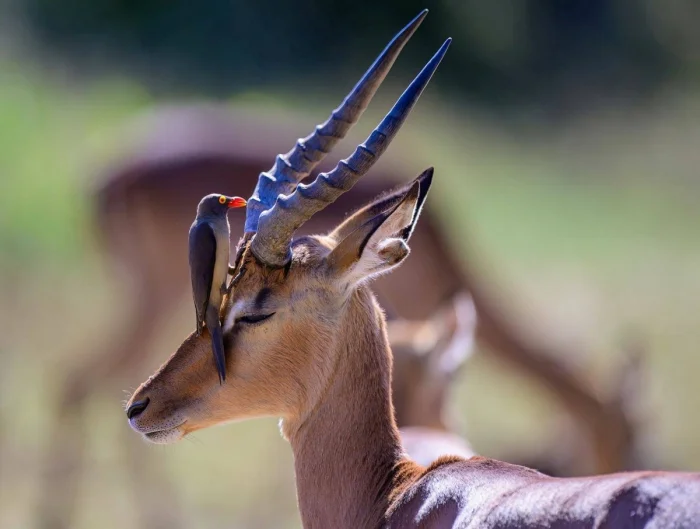 Подборка картинок на общую тему