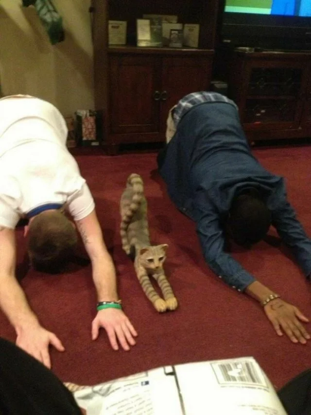 Намешалось: Красивые и интересные картинки