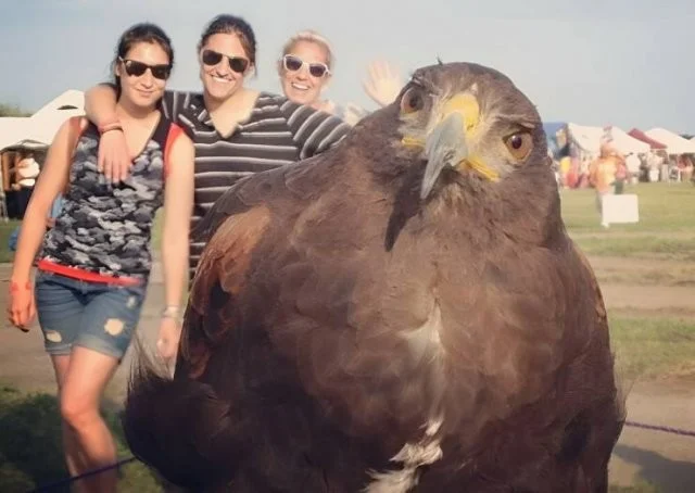 Намешалось: Красивые и интересные картинки