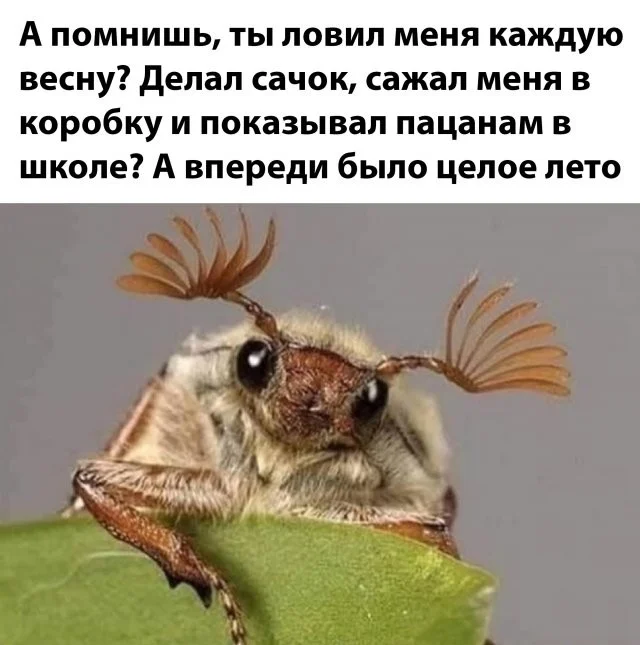 Намешалось: Красивые и интересные картинки