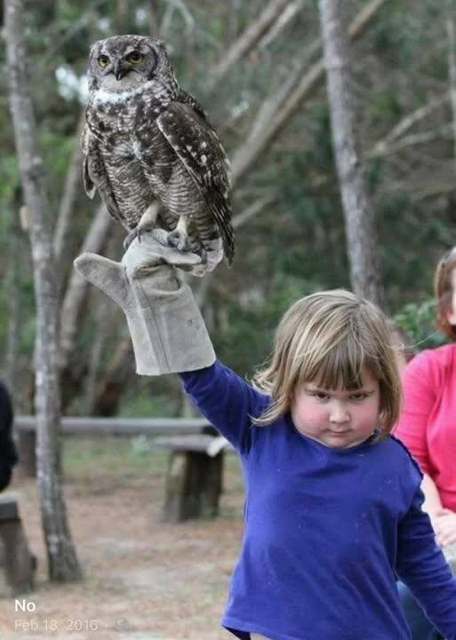 Намешалось: Красивые и интересные картинки