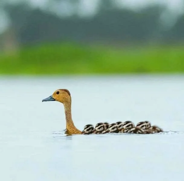 Намешалось: Красивые и интересные картинки