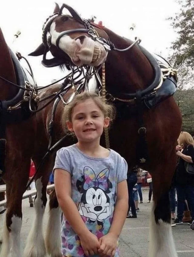 Немного намешалось