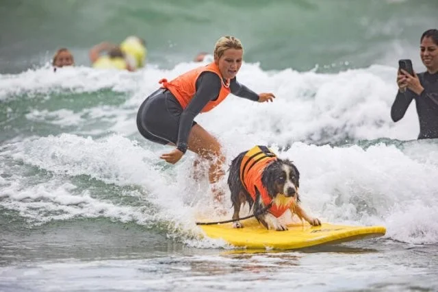 Намешалось: Красивые и интересные картинки