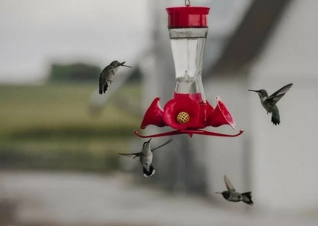 Взбалталось и намешалось
