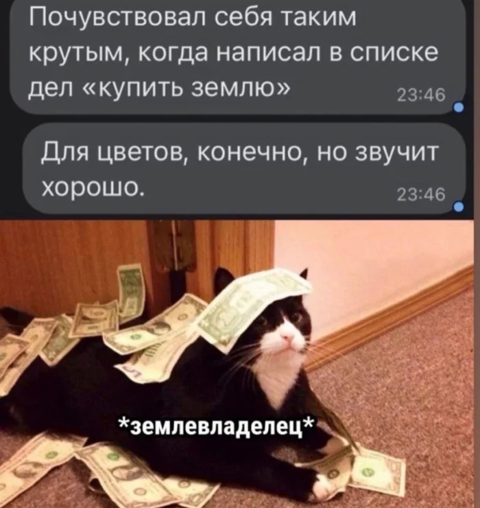 Нестандартный юмор #357