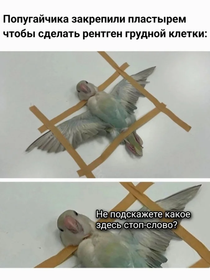 Нестандартный юмор #390