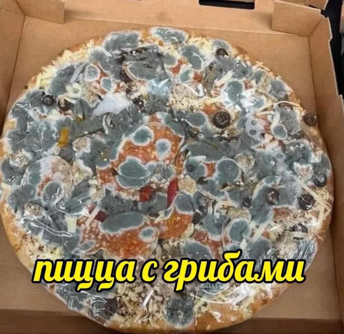 Нестандартный юмор #430