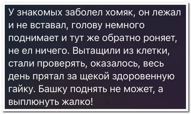 проба пера или 5 картинок