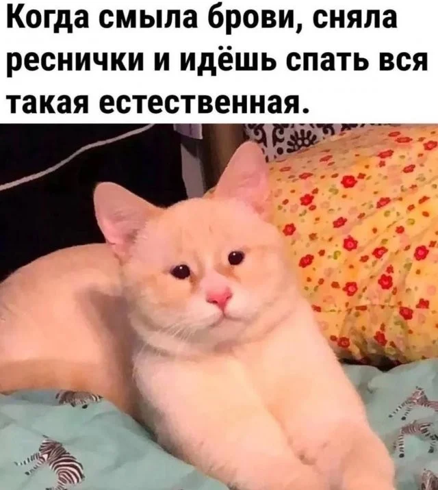 Смешные скрины из соцсетей #33