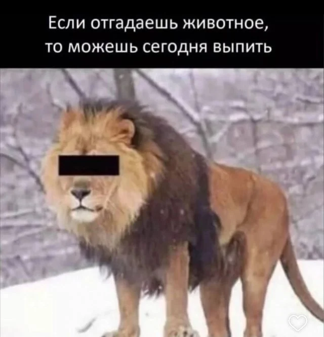 Смешные скрины из соцсетей #33