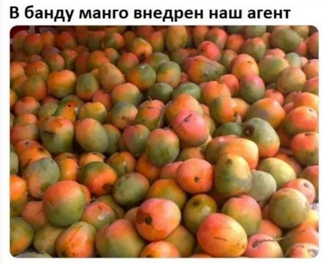 Смешные скрины из соцсетей #36