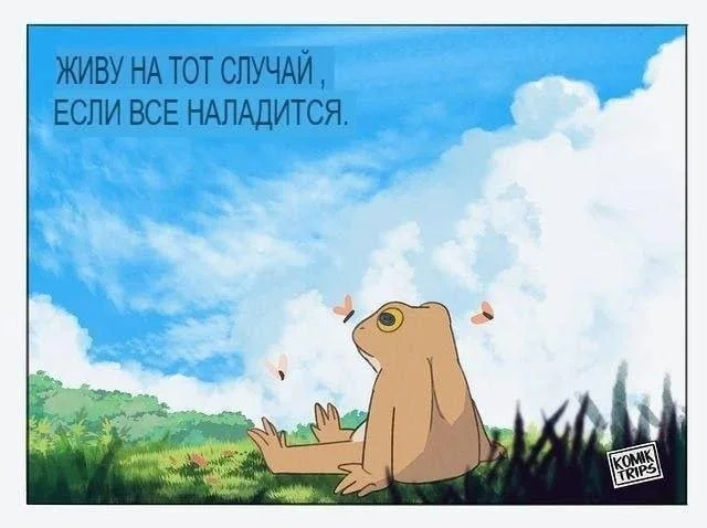 Смешные скрины из соцсетей #38