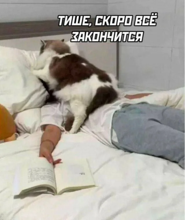 Смешные скрины из соцсетей #42