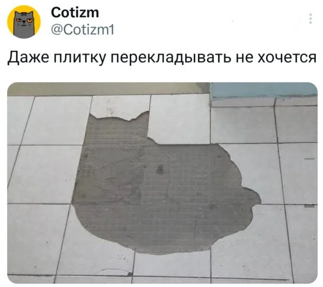 Смешные скрины из соцсетей #45