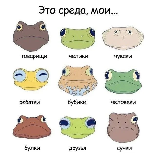 Смешные скрины из соцсетей #47