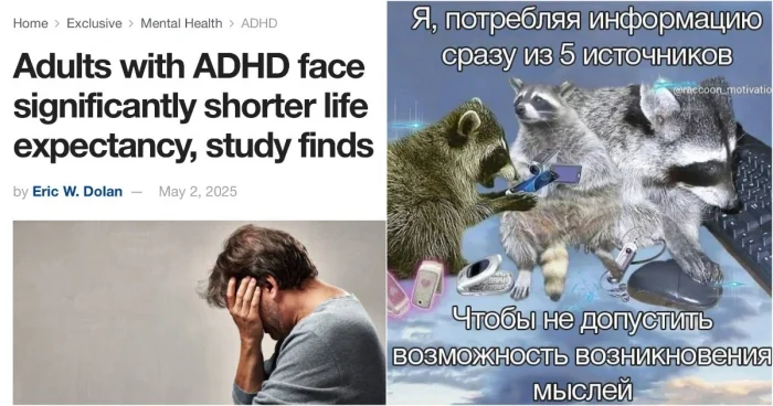 Ученые обнаружили связь между СДВГ и сокращением продолжительности жизни.
