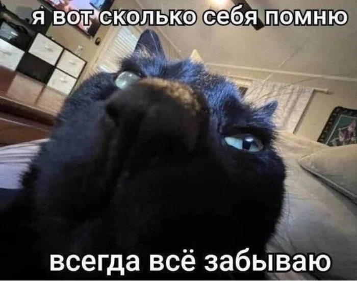 Ученые обнаружили связь между СДВГ и сокращением продолжительности жизни.